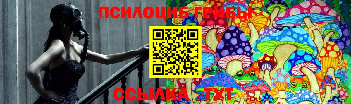 Галлюциногенные грибы Magic Shrooms  Вход с VPN  Галлюциногенные грибы Magic Shrooms  Кольчугино 