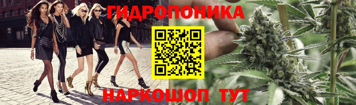 Каннабис гибрид Кольчугино